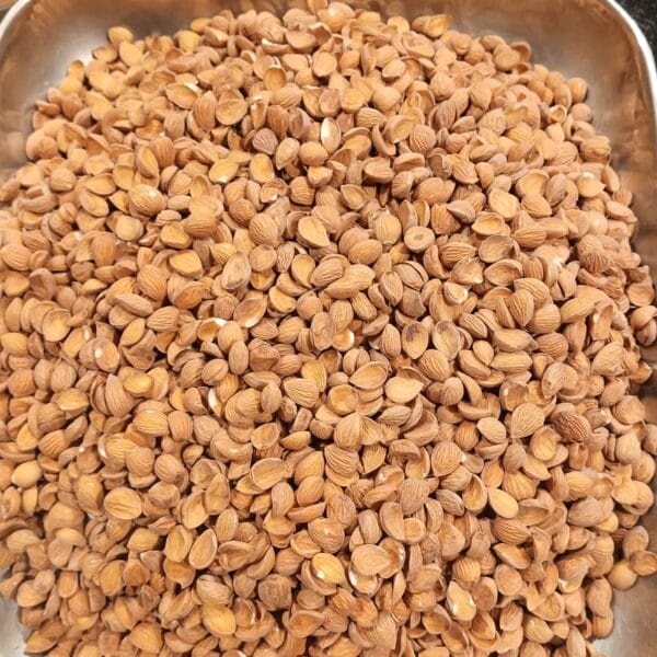 Kashmiri Almonds – Buy Online