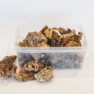 kashmiri morel mushrooms