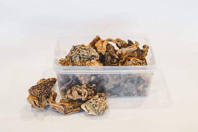morel mushrooms kashmiri morel mushrooms